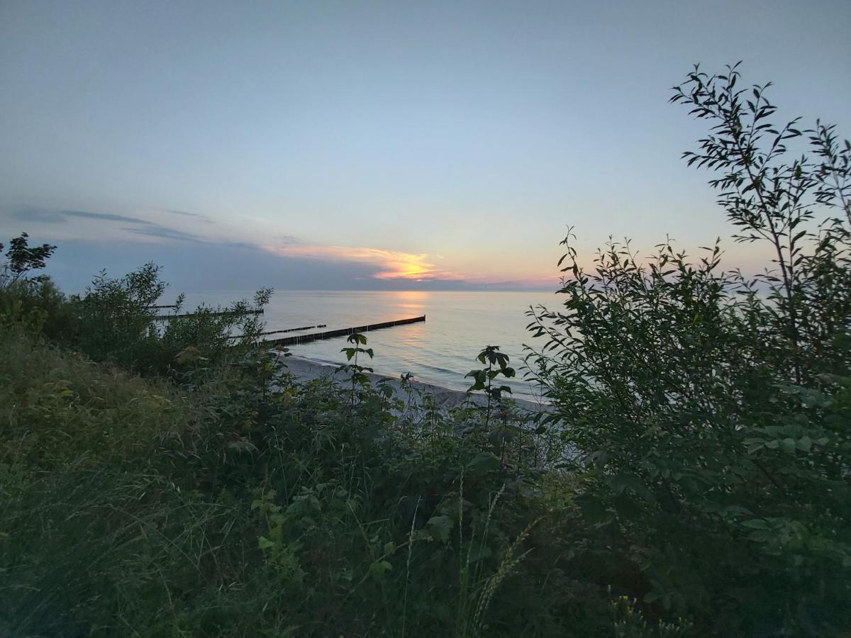 Willa Wieniotowo Przy Lesie I Plazy Ap Am Wald Und Strand Ustronie Morskie Kültér fotó