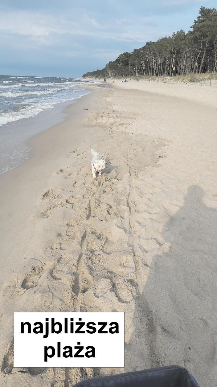 Willa Wieniotowo Apartamenty Przy Lesie I Plazy Ap Am Wald Und Strand Ustronie Morskie Kültér fotó